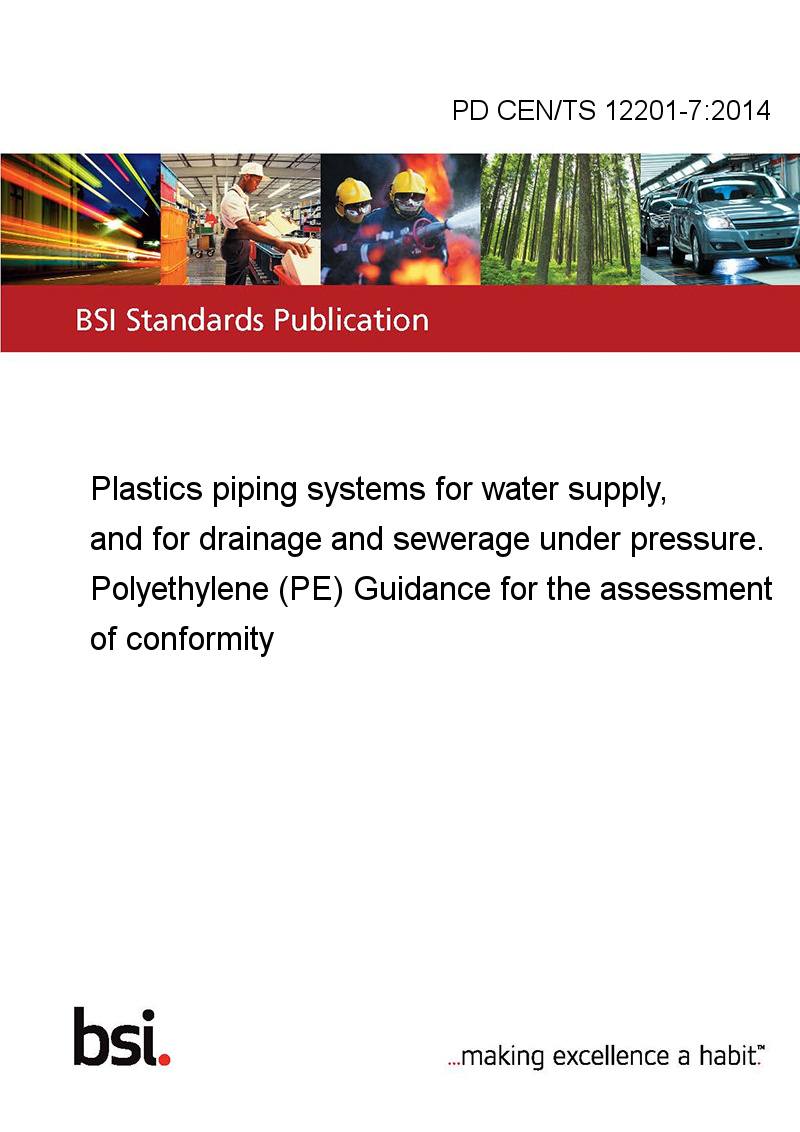 PD CEN/TS 1220172014 Plastics piping systems for water supply, and