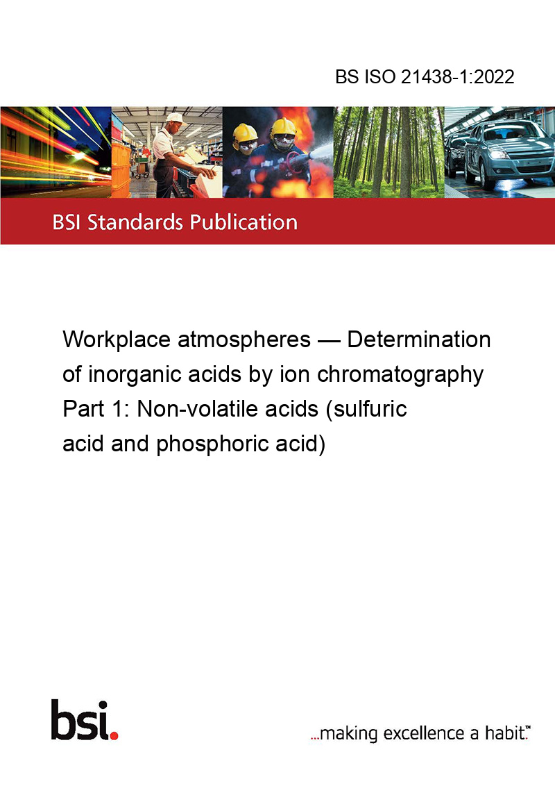 BS ISO 2143812022 Workplace atmospheres. Determination of